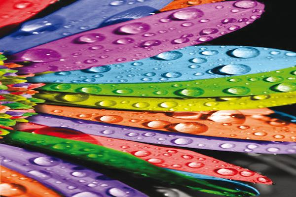 Self-Adhesive Paper